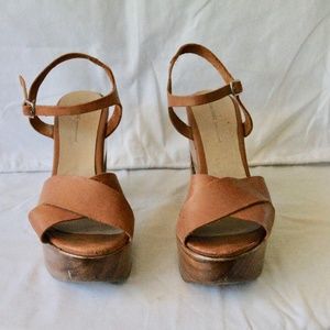 Zara Basics Platform Sandal w/ Chunky Wooden Heel